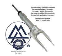 Porsche Panamera 970 Ammortizzatore per la sospensione pneumatica anteriore 9703