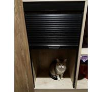 Porta a Soffietto da Interno Porte a Tamburo Pieghevoli Interne per Cucina, Porta per Pensile Scorrevole a Ribalta Flessibile a Prova di Gatto, Multifold senza Giunzioni Garage(55x110cm/22x43in)