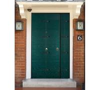 Porta Blindata con Pannello Moderno Verde da Esterno Portone Blindato 2 Ante
