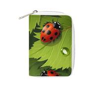 Porta carte stampato con foglie e coccinelle, porta carte di grande capacità, piccolo e comodo da mettere facilmente in tasche, borse a mano, zaini, ecc. Soddisfa le tue esigenze di archiviazione