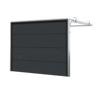 Porta da garage 2500 x 2000 mm, sezionale, modello basic, Grigio antracite simile a RAL 7016, configurabile su misura