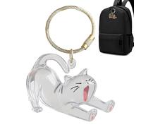 Porta di capelli per cani Keyring, bottiglia da collezione di gatti, 4,5 cm/1,77 pollici trasparente ornamento del ricordo, accessorio per memoria PET portatile, chiaro, 1 pezzi e materiale da uso quo