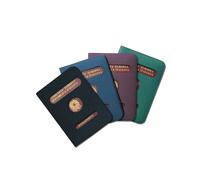 Porta Passaporto Alplast - 13,5x19,7 cm - 1012 (Assortiti Conf. 24)