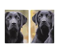 Porta passaporto con cane Labrador Retriever, custodia protettiva per carte d'identità, porta passaporto, porta passaporti, portafoglio da viaggio, per donne e uomini
