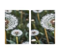 Porta passaporto con dente di leone bianco invernale ultra sottile in pelle PU organizer per documenti da viaggio compatto premium internazionale per passaporto americano copertura per donne uomini