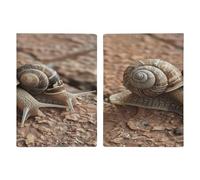 Porta passaporto con due lumache modello ultra sottile in pelle PU organizer per documenti da viaggio compatto premium internazionale per passaporto americano copertura per donne uomini