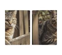 Porta passaporto con gatto su recinto in legno, custodia protettiva per passaporto, con slot per passaporti, portafoglio da viaggio, per donne e uomini