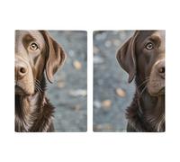 Porta passaporto da viaggio con labrador retriever marrone, con scomparti per carte di credito e carta d'imbarco, porta passaporti, carte di credito