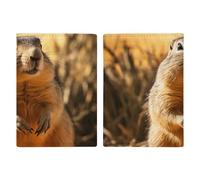 Porta passaporto da viaggio disegnato a mano, con scomparti per carte di credito e carta d'imbarco, per documenti d'identità e famiglia (20 x 13 cm)