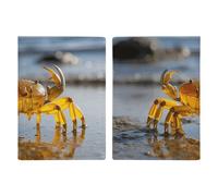 Porta passaporto da viaggio trasparente con scomparti per carte di credito e carta d'imbarco, porta passaporti, carte di credito, carte d'imbarco