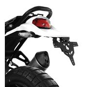 Porta targa Francia type Zieger Ducati Desert X 10009655