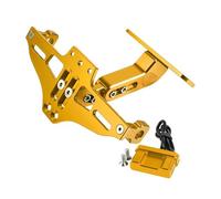 Porta Targa Supporti Per NMAX125 NMAX155 NMAX 155 N MAX 125 2020-2024 Supporto Per Targa Posteriore Regolabile Con Luce Portatarga Moto(Yellow)
