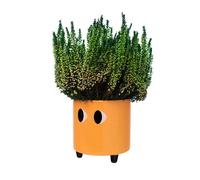 PORTA VASO OCCHI ARANCIO