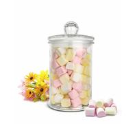 Porta Vivande 3000ml Vaso di Immagazzinaggio Contenitore di Vetro Bomboniera