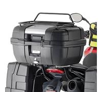 PORTABAGAGLI CENTRALE TRIUMPH TIGER SPORT 1050 (13-19) ( CON PIASTRA MONOKEY )