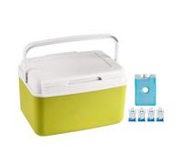 Portable Cooler, Cool Box, Insulated 15L Capacity, Easy Carry Handle Design with Beverage Chille for Outdoor Camping, Beach, Picnic, Boat, Tailgating, 14,57 x 9,45 x 10,63 pollici