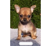 Portable Notebook | Animals | Dot Grid Paper: Soft cover | 200 pages | 4 x 6 inches