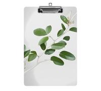 Portablocco bianco naturale con ramoscello verde, in acrilico, carino e alla moda, decorativo, 31,8 x 21,6 cm, formato A4, clip in acrilico per aule, insegnanti, forniture per ufficio