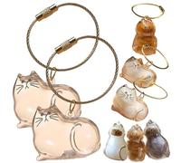 Portachiavi con capsula commemorativa per peli di gatto, ricordo trasparente per animali domestici, bottiglia portatile a forma di gatto, regalo ricordo per la perdita di animali domestici per gli