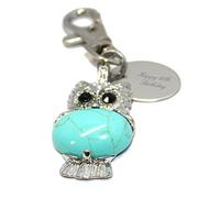 Portachiavi con ciondolo a forma di gufo con pietra blu, per 60° compleanno, in sacchetto regalo, BR438K, Blu, Taglia unica, Charm