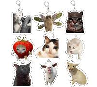 Portachiavi con meme del gatto confuso "Rambling Goat Huh", meme del gatto che urla con le zampe sulla testa, regalo carino per amici, donna, accessori per scuola, auto, Ognissanti, Festa degli Insegn