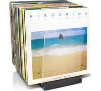 Portadischi in Vinile - Un Portadischi Dal Design Minimale - Capacità 60 Lp - Si