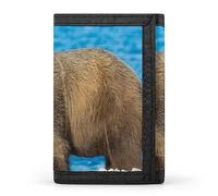 Portafoglio a tre ante con orso bruno sulla spiaggia con oceano blu, elegante borsa con portachiavi, porta carte di credito per scontrini, ricevute, donne e uomini, 5 x 3,3 x 0,2 pollici