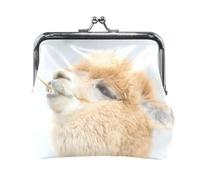 Portafoglio da donna in pelle con 20 monete, con chiusura a scatto, porta carte, chiavi e monete, con chiusura a scatto, piccolo da donna, con fibbia, stampa con simpatico cane bassotto marrone sul