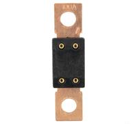 Portafusibile resistente per Mega 12/24 V nominale da 60 a 500 Amp con bullone M8, adatto per auto, barca, protezione circuito audio marino (100 A)