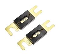Portafusibili Fusibile a bullone Portafusibili for auto Fusibile a collegamento fusibile con fusibile 40A 60A 80A 100A 200A 250A 300A Fusibili(2PC Fuse,350A)
