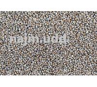 Portal Cool 1Kg: Pearl miglio Semi di Bajra