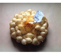 Portal Cool Bulbi di cipolla bianca maggio - 1 Kg. - Dimensione 21/24