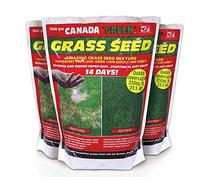 Portal Cool Canada Green Grass Seed 500 grammi X1 ti garantisce una Lusher più spesso Prato