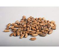 Portal Cool I semi di cacao, Crudo (Criollo Variety): Theobroma Cacao, biologica; 114G