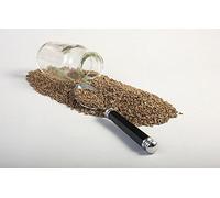 Portal Cool Rue siriano (Peganum Harmala) - Organic - 28G (1 oz)