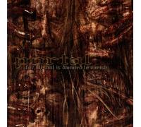 Portal - For All That Is Damned To Vanish