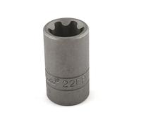 Portalampada Torx plus EP22 1/2" - SA 0538