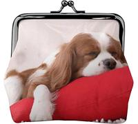 Portamonete Cavalier King Charles Spaniel Donne Ragazza Money Bag Kiss-Lock Chiusura Fibbia Portafoglio Cambiare Borsa, Come nella foto, Taglia unica, Organizer per borse