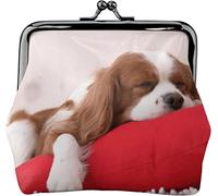 Portamonete Cavalier King Charles Spaniel Donne Ragazza Money Bag Kiss-Lock Chiusura Fibbia Portafoglio Cambiare Borsa, Come nella foto, Taglia unica, Organizer per borse