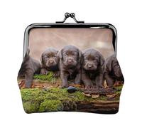 Portamonete,Portafogli Portamonete Portamonete Portamonete Mini Portafogli per Donne Ragazze Cuccioli Labrador Marrone Piccoli Cuccioli Famiglia