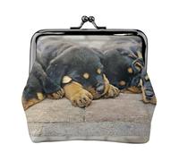 Portamonete,Portafogli Portamonete Portamonete Portamonete Mini Portafogli per Donne Ragazze Rottweiler Cani che Dormono Animali Domestici Cuccioli Piccoli