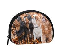 Portamonete,Portafogli Portamonete Portamonete Portamonete Mini Portafogli per Donne Regalo per Ragazze, Cavalier King Charles Spaniel Cuccioli Autunnali