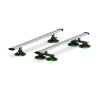 Portapacchi a barre incrociate TreeFrog Argento