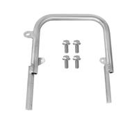 Portapacchi Moto Per Blaster 200 Per YFS200SE Per Speciale Per Edizione 2006 Barra Di Sostegno Posteriore Paraurti Portabagagli(Silver)