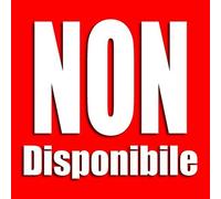 PORTAPACCHI PORTABAGAGLI ANTERIORE CROMATO PIAGGIO VESPA LX LXV 50 SPECIAL