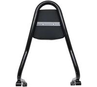 portapacchi posteriori per moto Portapacchi posteriore per moto, maniglia di sostegno per passeggero, schienale per BMW(Nero)