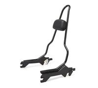 Portapacchi posteriori Schienale Passeggero Posteriore Con Barra Sicurezza Staccabile Moto Chopper Per FLSB Per FXLR Per FXLRS Per FXLRST 2018+ portapacchi per moto(Nero)