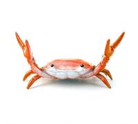 Portapenne a forma di granchio, organizer da scrivania a forma di granchio, carino e divertente, ideale come regalo creativo per ufficio e casa, accessorio decorativo (stile A)