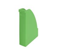 Leitz Recycle 24765050 - Portariviste, formato A4, colore: Verde