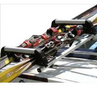 Fabbri OPTIONAL SKI&BOARD UNISPIDER per Portabagagli Spider Grigio